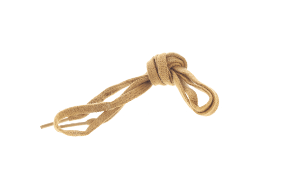 shoelace2.png