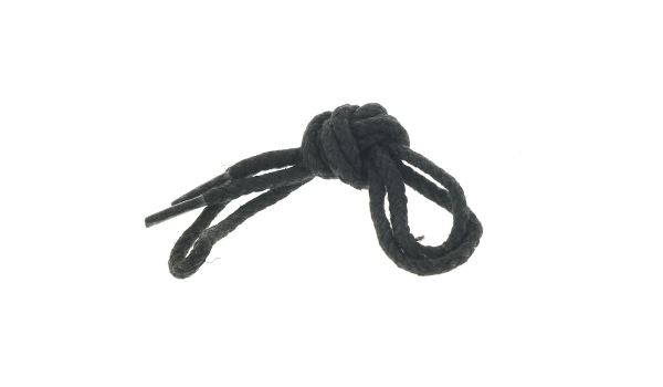 shoelace6.png